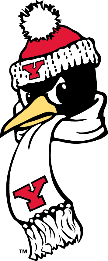 Youngstown State Penguins 1993-Pres Alternate Logo v5 diy fabric transfer